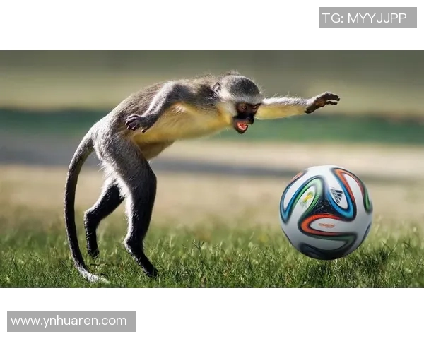 猴子也能踢足球他是被叫猴子的足球明星的传奇故事